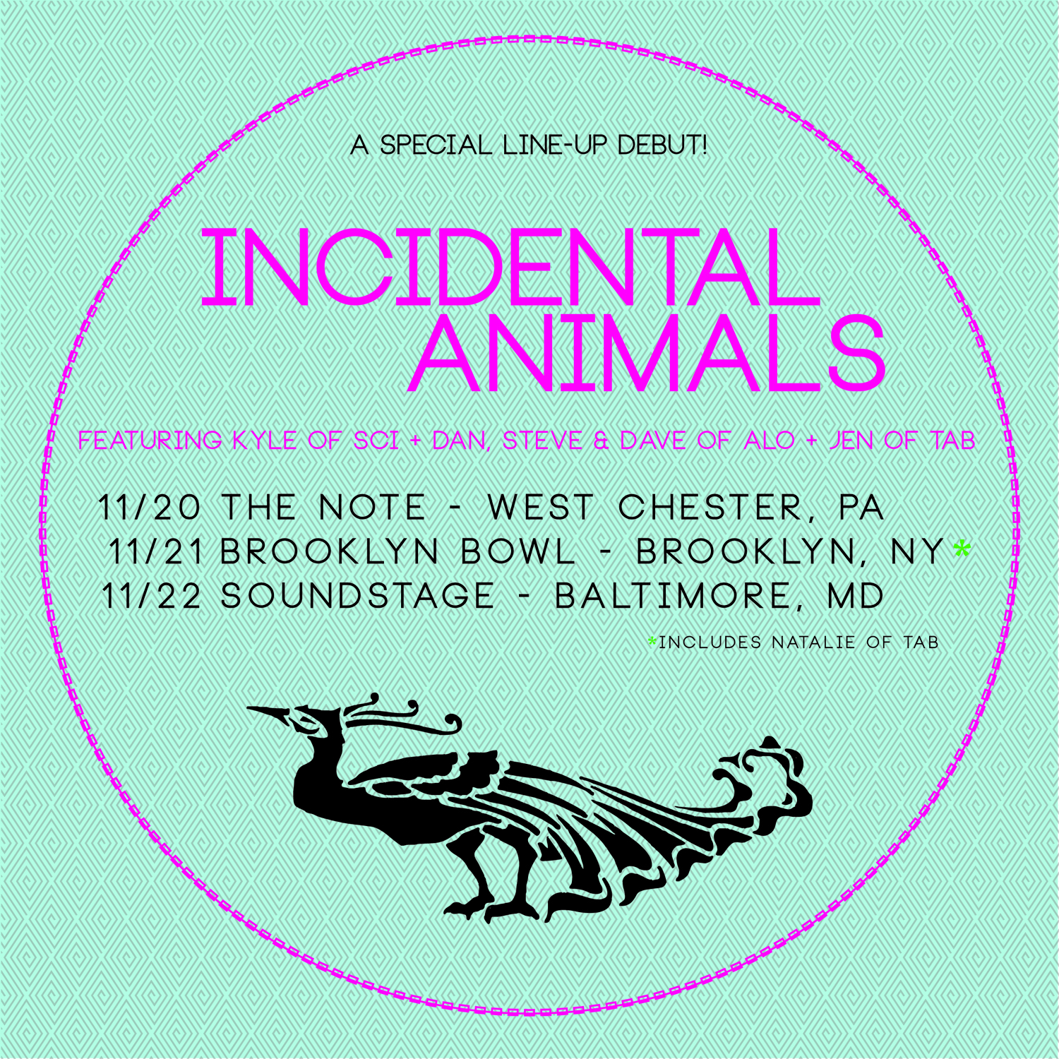 Incidental Animals Review 11/22 at Baltimore Soundstage