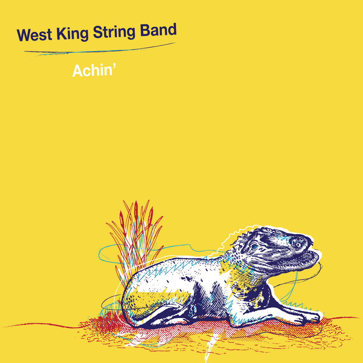 Album Review: West King String Band, Achin