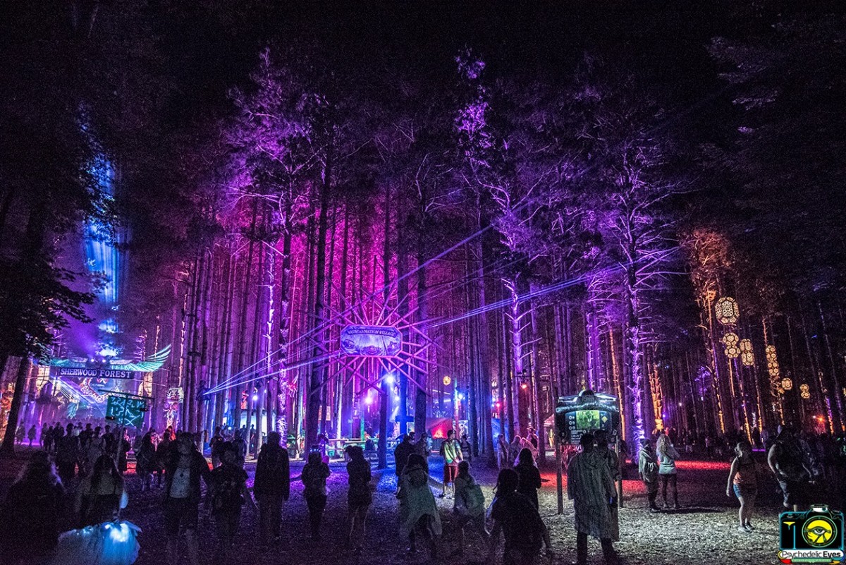 What’s Up Weekly: June 25-30, 2019 – Back Home Appalachian Arts & Music Festival, Electric Forest & more