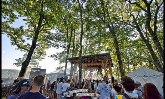 Review: Marvelous Funkshun Live set from Floydfest