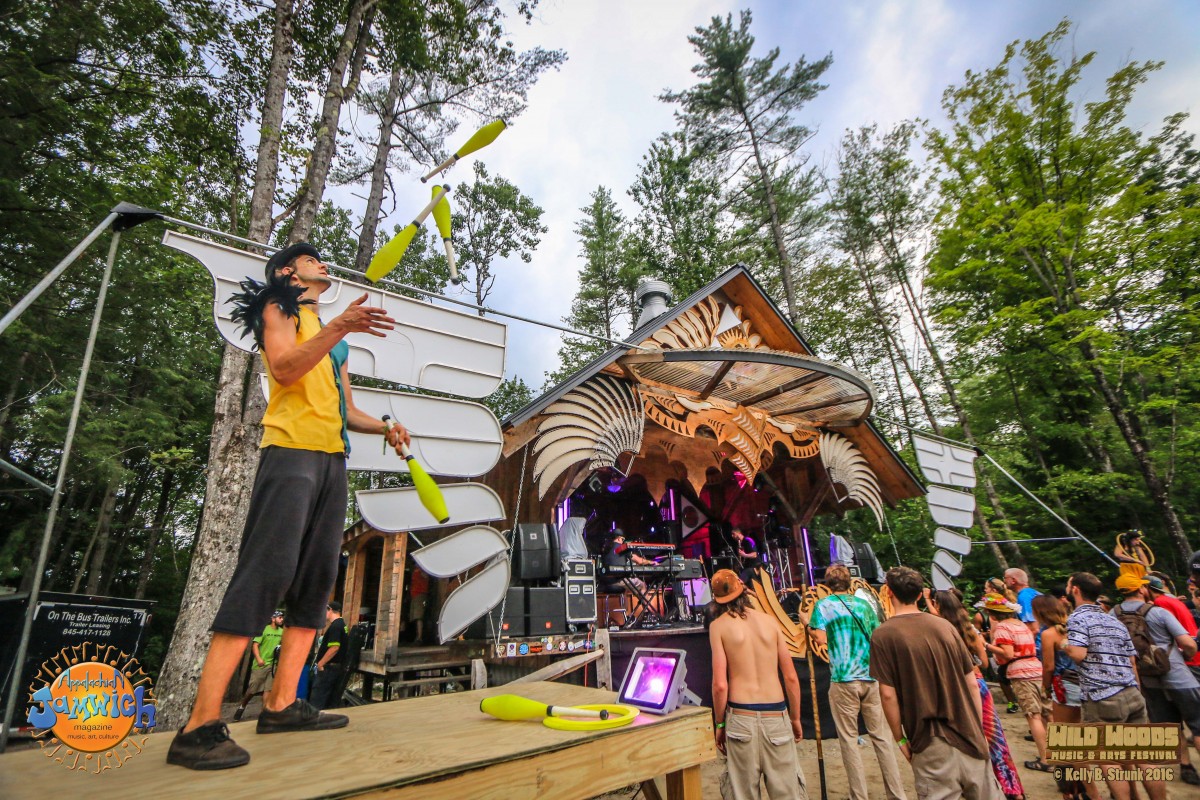 Wild Woods Music & Arts Festival 2016 Review
