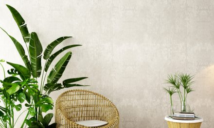 Decorate and Brighten Up Your Home with Indoor Plants