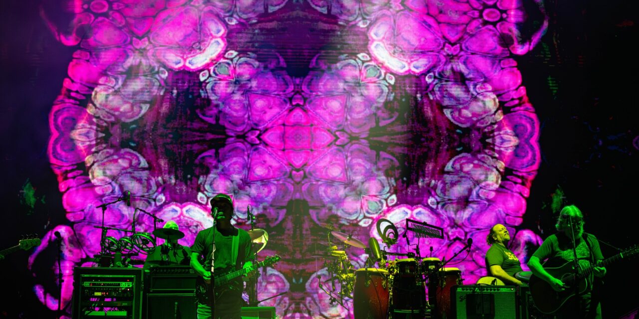 The Psychedelic Dreamscape Of Electric Forest